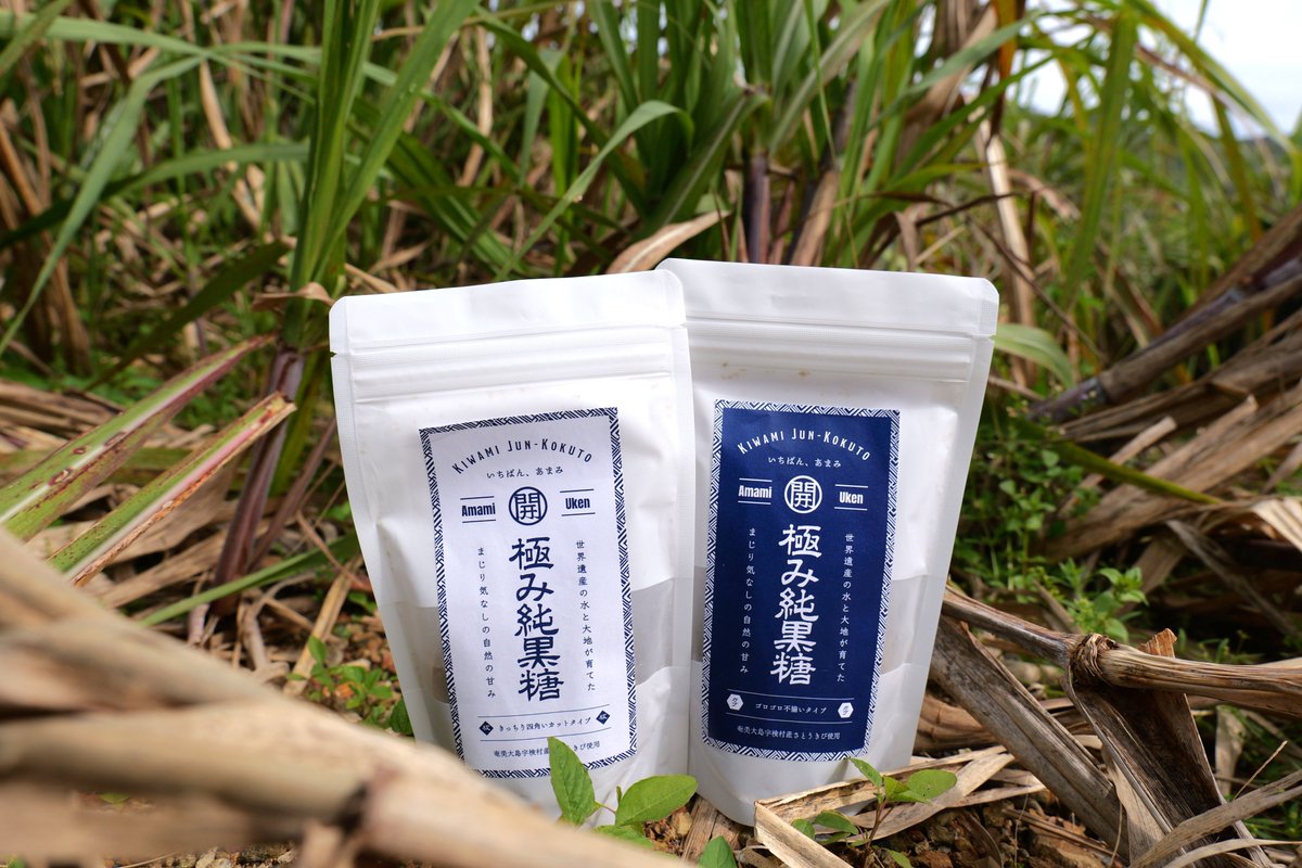 黒糖焼酎れんとの奄美大島開運酒造【公式】 tweet media