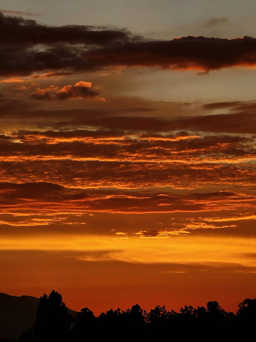 🌟2026년 버킷리스트🌟

1. ahorrar mucho dinero 
2. Viajar donde he estado posponiendo 
3. Ganar una rifa en especial la Polaroid de Daniel 
4. Salud para todos los seres que amo 

#강다니엘 #KANGDANIEL
#설날맞이버킷리스트이벤트 #Bucket_List_Event
#설날버킷리스트이벤트