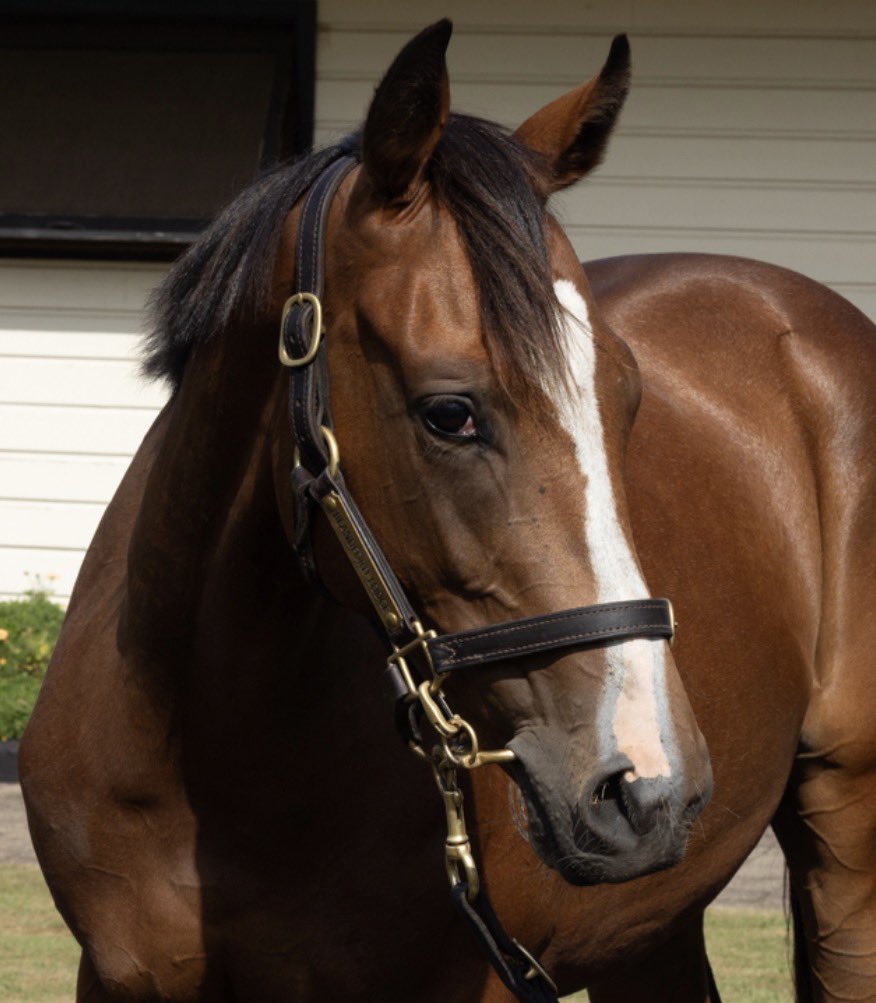 B.A.X LTD tweet media