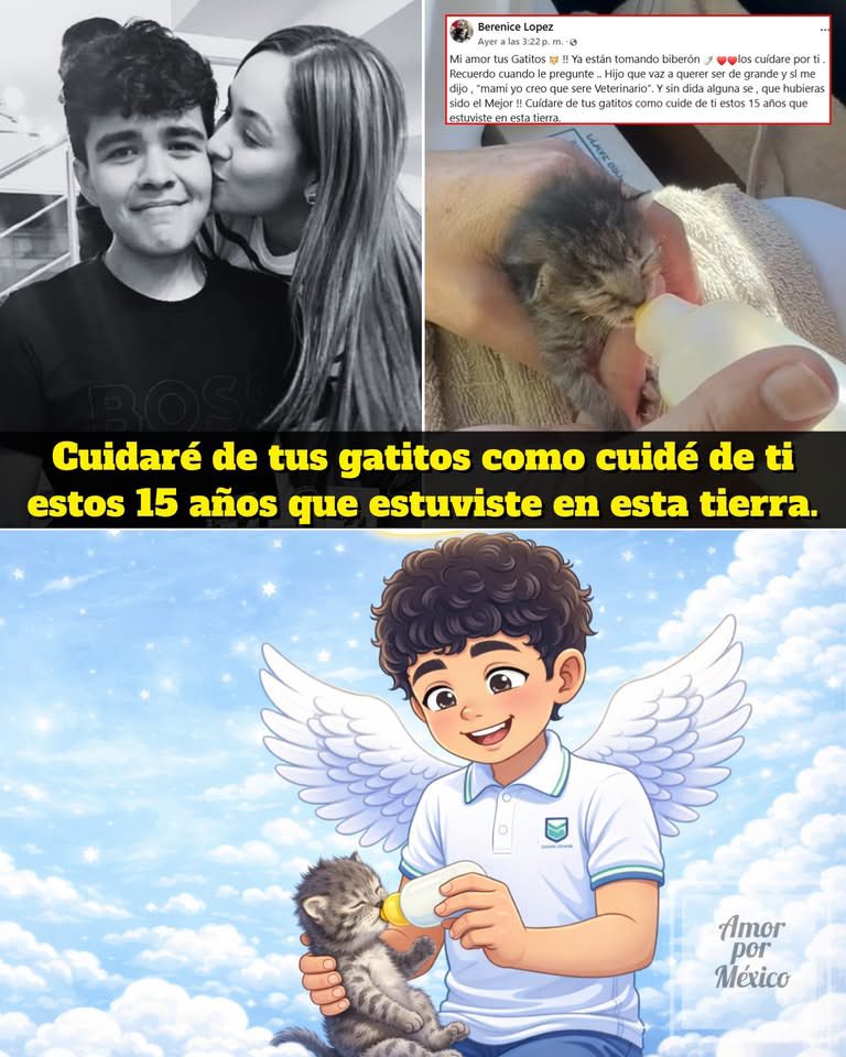 🥀"Mi amor, tus gatitos ya están tomando biberón. Los cuidaré por ti, cuidaré de tus gatitos como cuidé de ti estos 15 años que estuviste en esta tierra" escribió la madre de Ricardo.
🥺Lo que escribió la madre de Ricardo Misael es el dolor más puro que puede existir: el de una