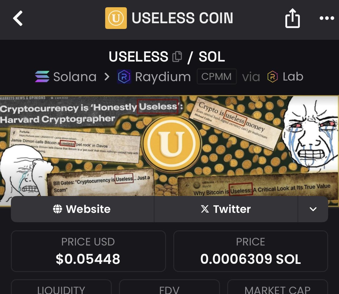Even $USELESS .. the biggest memecoin from 2025 ..  markets with $Wojak 

Billions for both