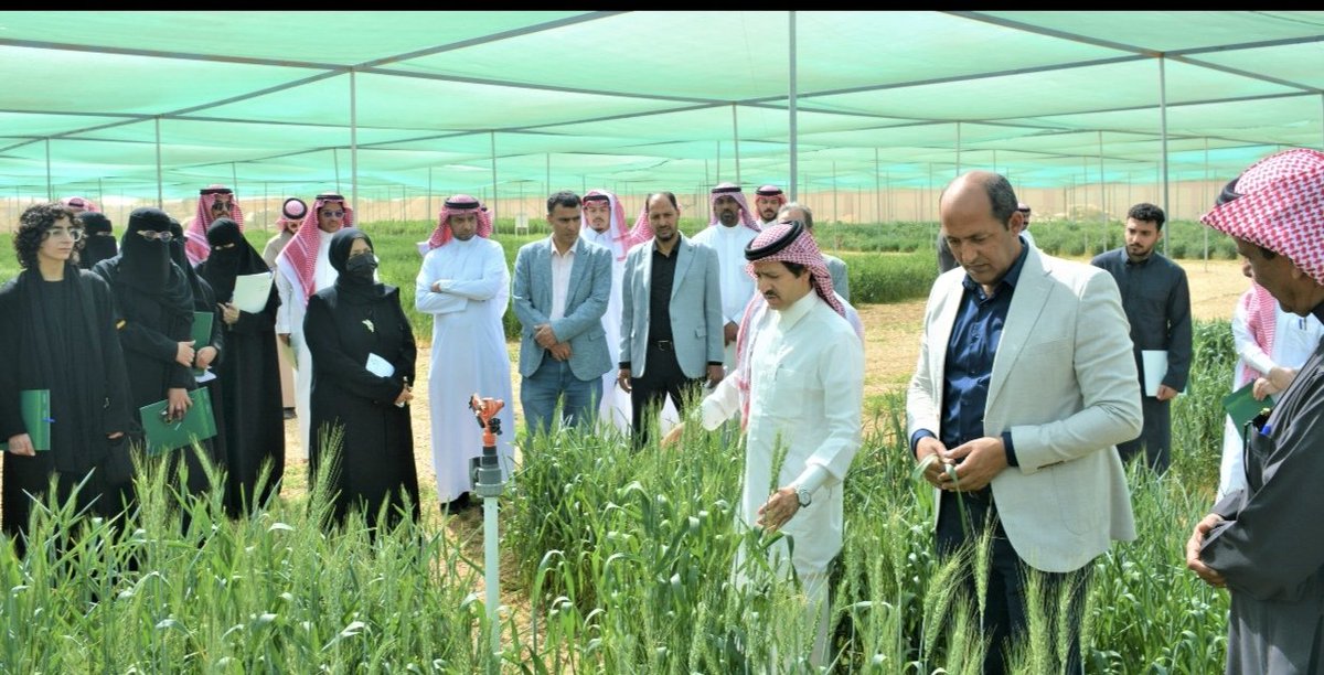 DrSalemAlghamdi's tweet photo. أقام مركز البذور والتقاوي الوطني ورشة عمل مهمة لتربية وتحسين محاصيل الحبوب والبقول المحلية والمدخلة بهدف استنباط سلالات من القمح والشعير والفول، عالية الانتاجية ومتحملة للظروف البيئية السائدة في المملكة، لتعزيز مسيرة الأمن الغذائي الوطني والمحافظة على السلالات المحلية من الاندثار https://t.co/ViOuwufQ7U
