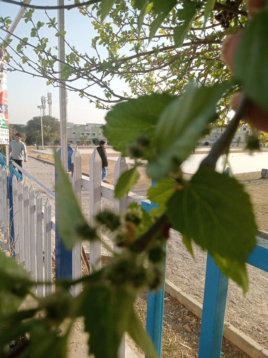 AK47LoadedAgain's tweet photo. میری زندگی ہے تو
#Morningstarter
#WalkingTrack
#Islamabad https://t.co/WqzQB0IiYC