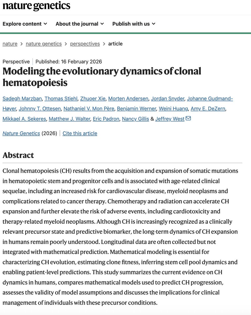 Sadegh Marzban tweet media