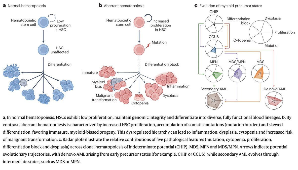 Sadegh Marzban tweet media