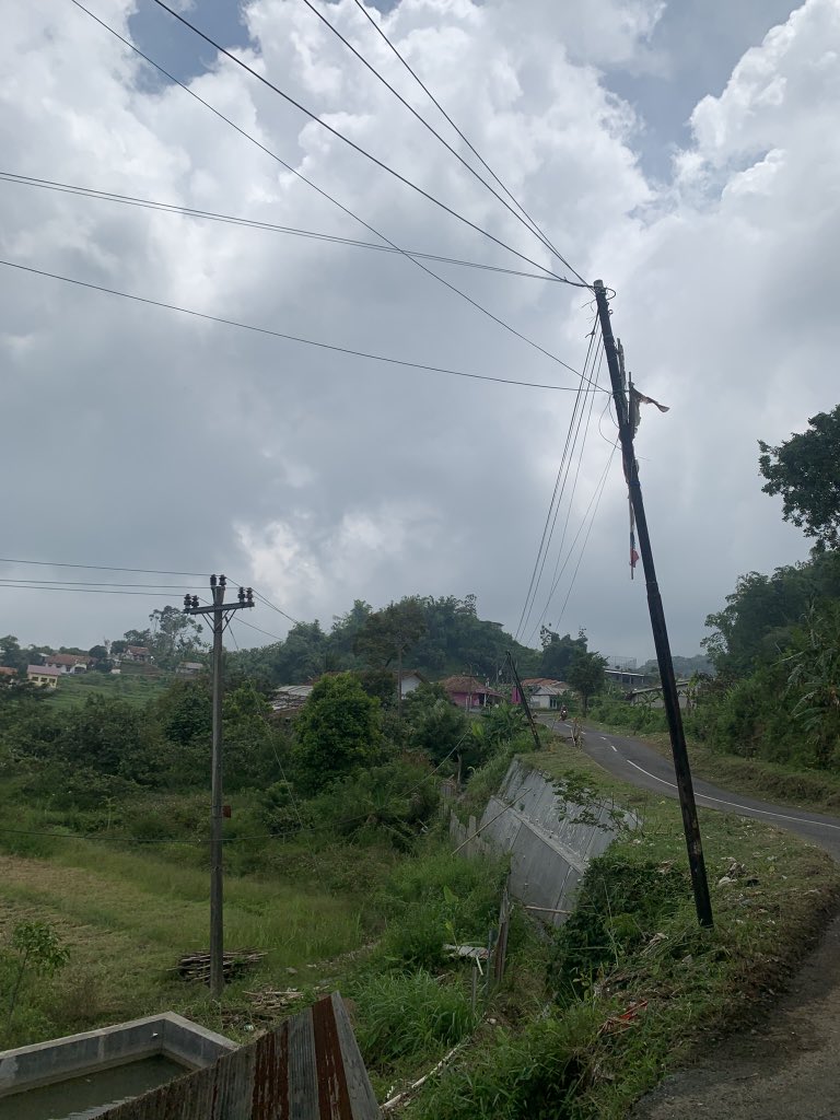 zy ☆彡 tweet media