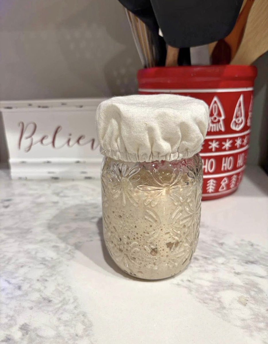 hub3rtstevenson's tweet photo. Got into baking bread as a fun activity with the kids. The wife loves that I’m taking agency in the kitchen! Meet Bertha (named by my youngest) the Sourdough Starter! https://t.co/nRAGHirLdC