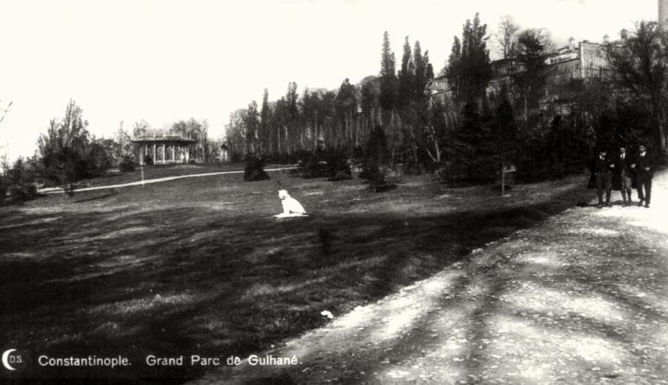Gülhane Parkı.
Parkta görünen aslan heykeli Doğancılar Parkı'ndaki aslana benziyor.