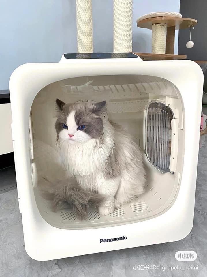 Meera Adhinata tweet media