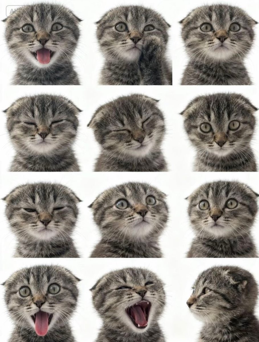 Grande (@sixrande) on Twitter photo 