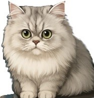 takeru_lab's tweet photo. Aiko is my cat.  She was born with PKD(polycystic kidney disease).  
Aiko has PKD. So what? Looking Toward a Bright Future.   
#SingularityOfMind #catlovers #FelinePKD #AI #Ontology #ExistentialHorror https://t.co/6oUJLEGy8F