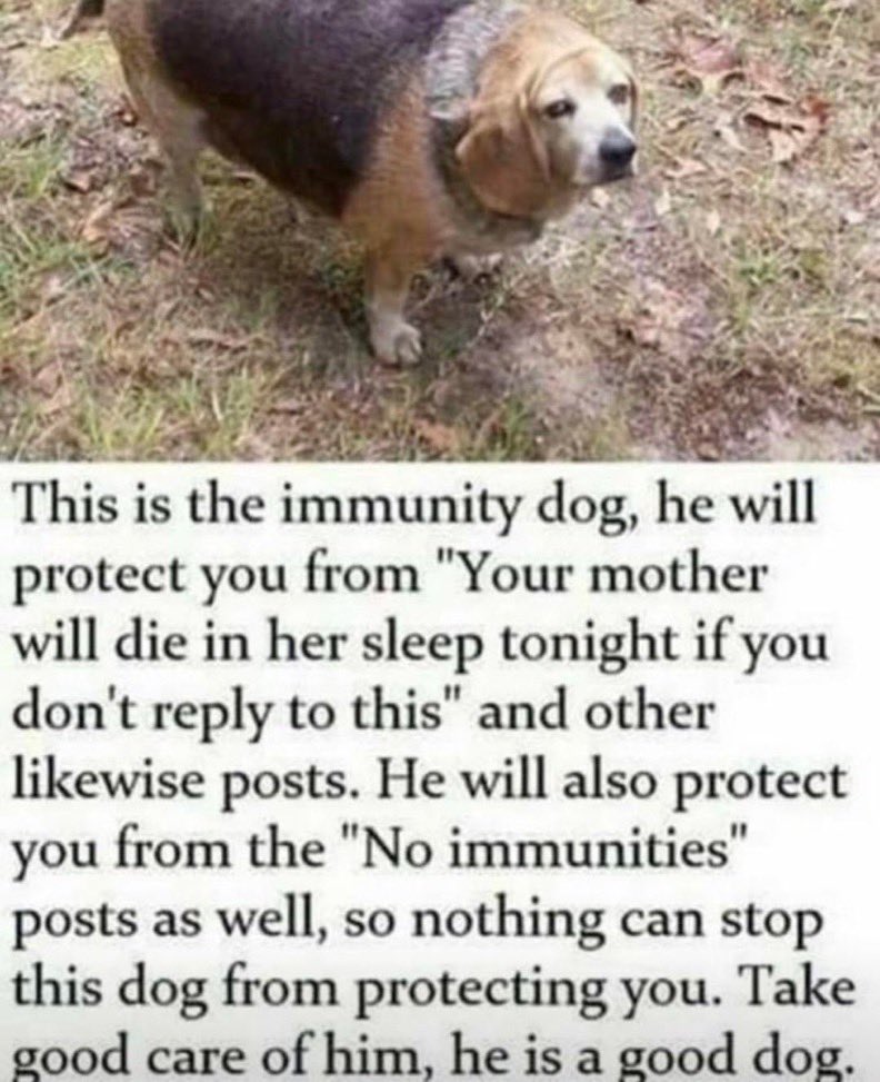 MeggyMeggyMeggyMeg :3 tweet media