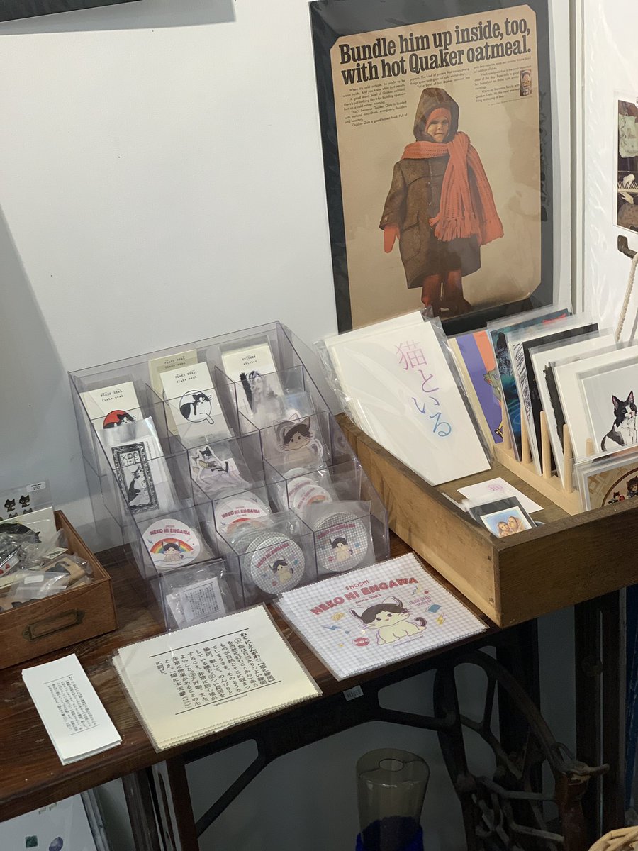 書肆猫に縁側🐈‍⬛ tweet media