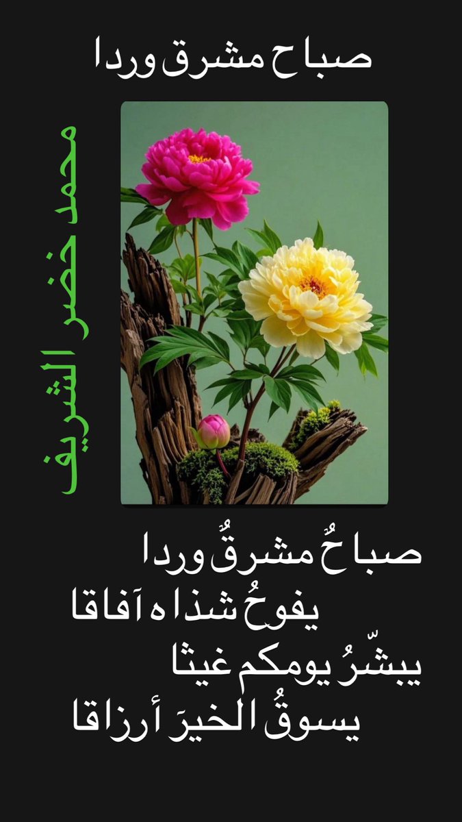 ﮼محمد،خضر،الشريف tweet media