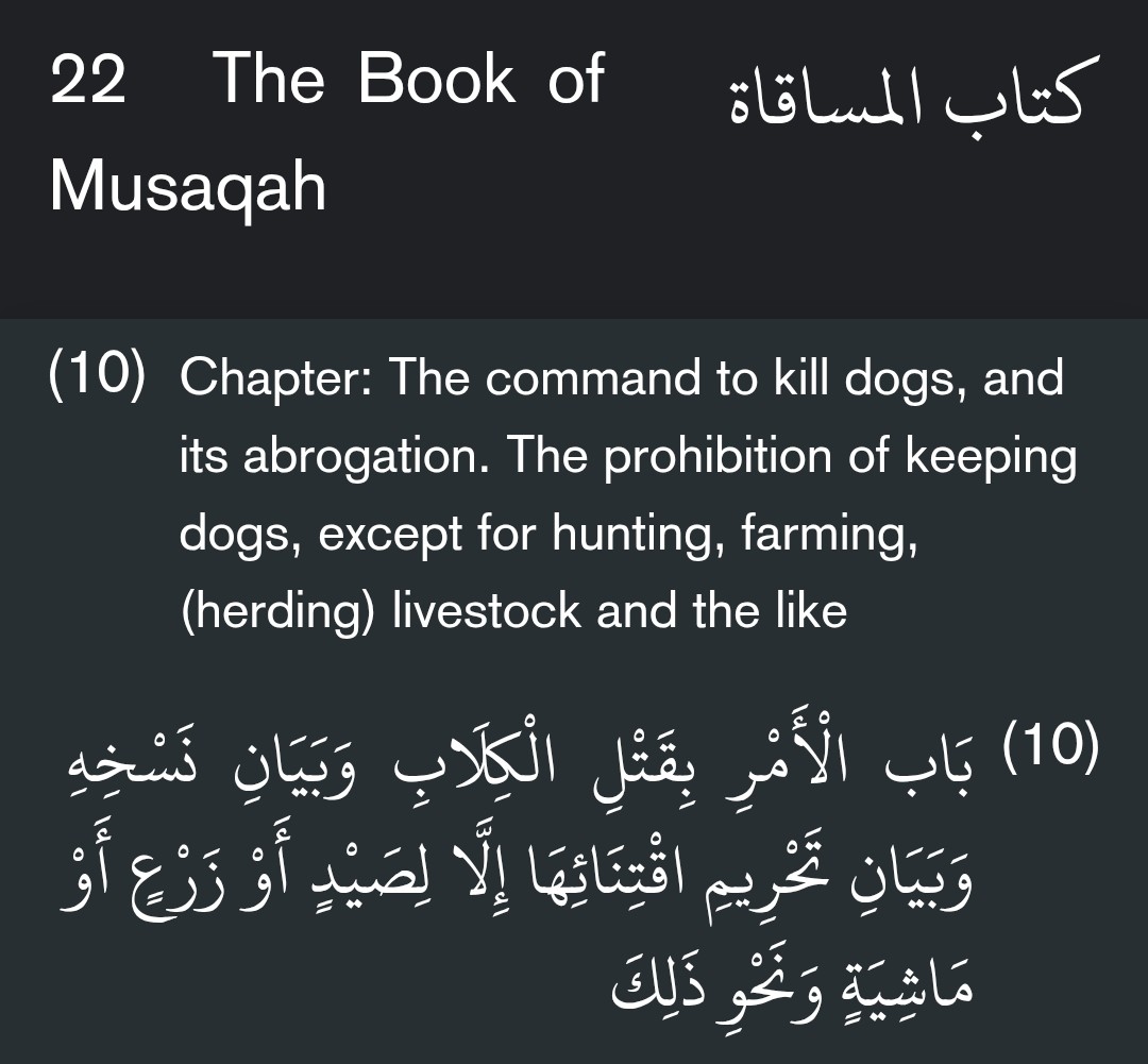 Muhammad's specific instructions to his followers was to ... 