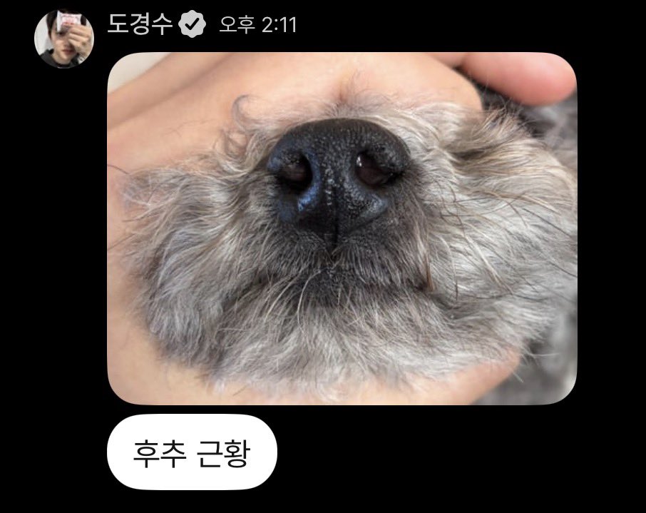 도경수 먹물이랑 후추 사진도 보내줬어ㅜㅜ #도DM