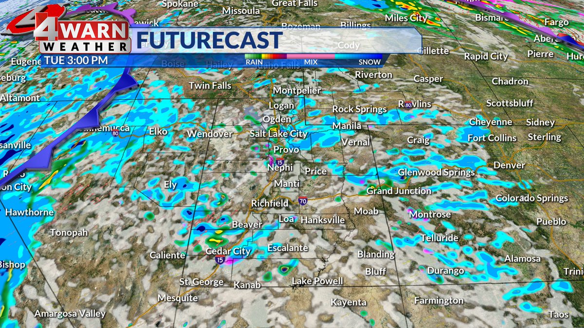 Cedric Haynes tweet media