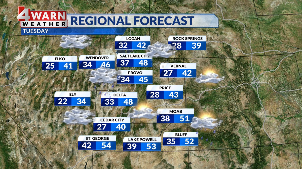 Cedric Haynes tweet media