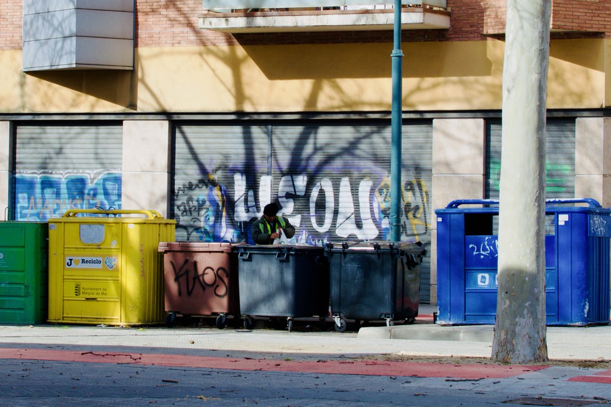 Laura Téllez tweet media