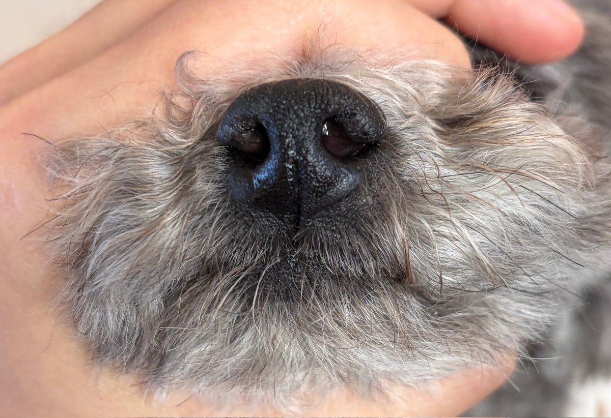 260217 도경수
#도DM