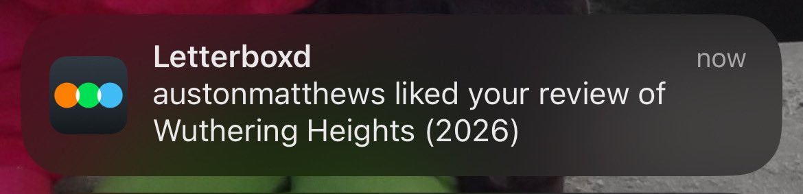 you guys i’m scared