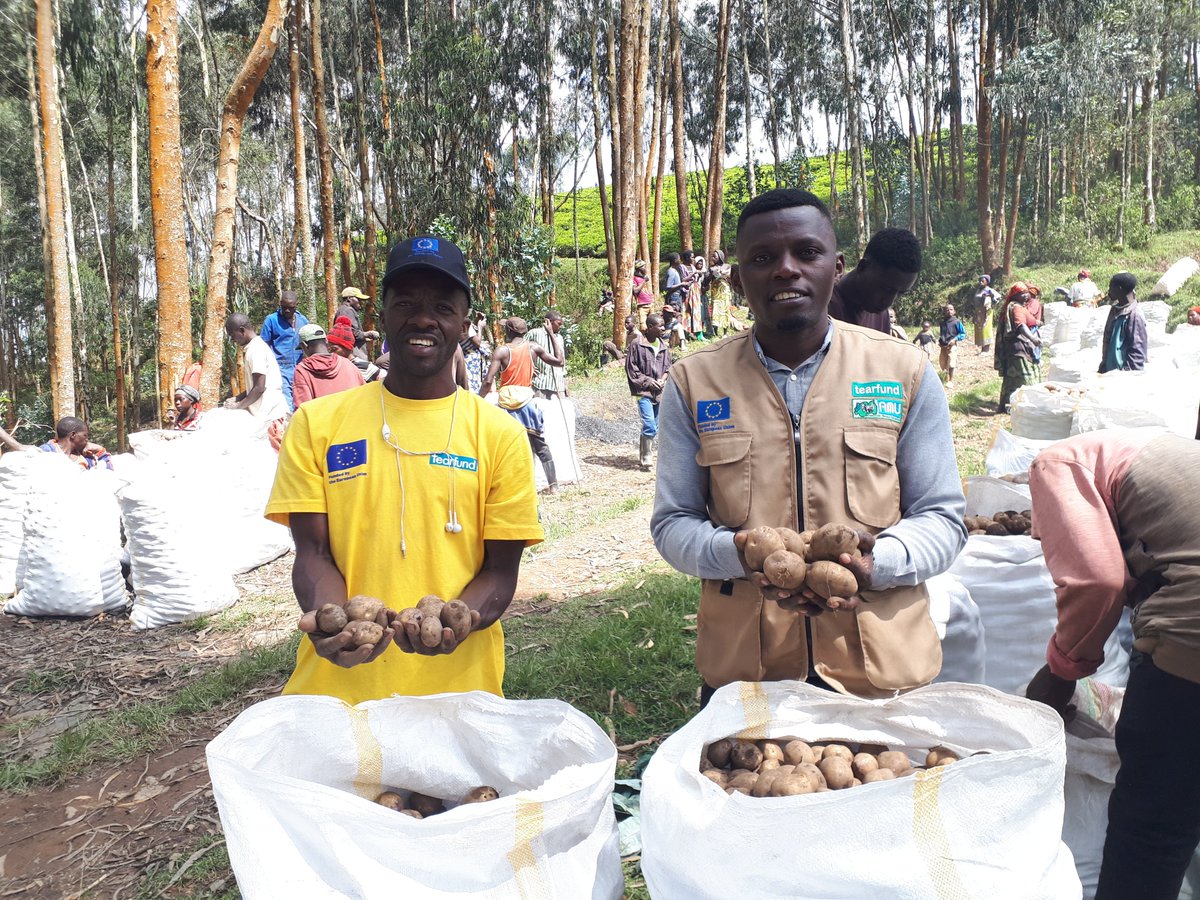 paix_j's tweet photo. @NyaruguruDistr @Tearfund @RwandaAgri @RwandaAgriBoard @Emamurwa @GashemaJanvier Uyu mushinga wa EU Kungahahara uri guteza imbere abaturage ba @NyaruguruDistr kuburyo bugaragara rwose. Umusaruro w' ibirayi wariyongereye cyane. Much thanks to @TearfundRwanda , Association Mwana Ukundwa and the @EU_Commission 

#EUKUNGAHARA https://t.co/DYN15x6jjX