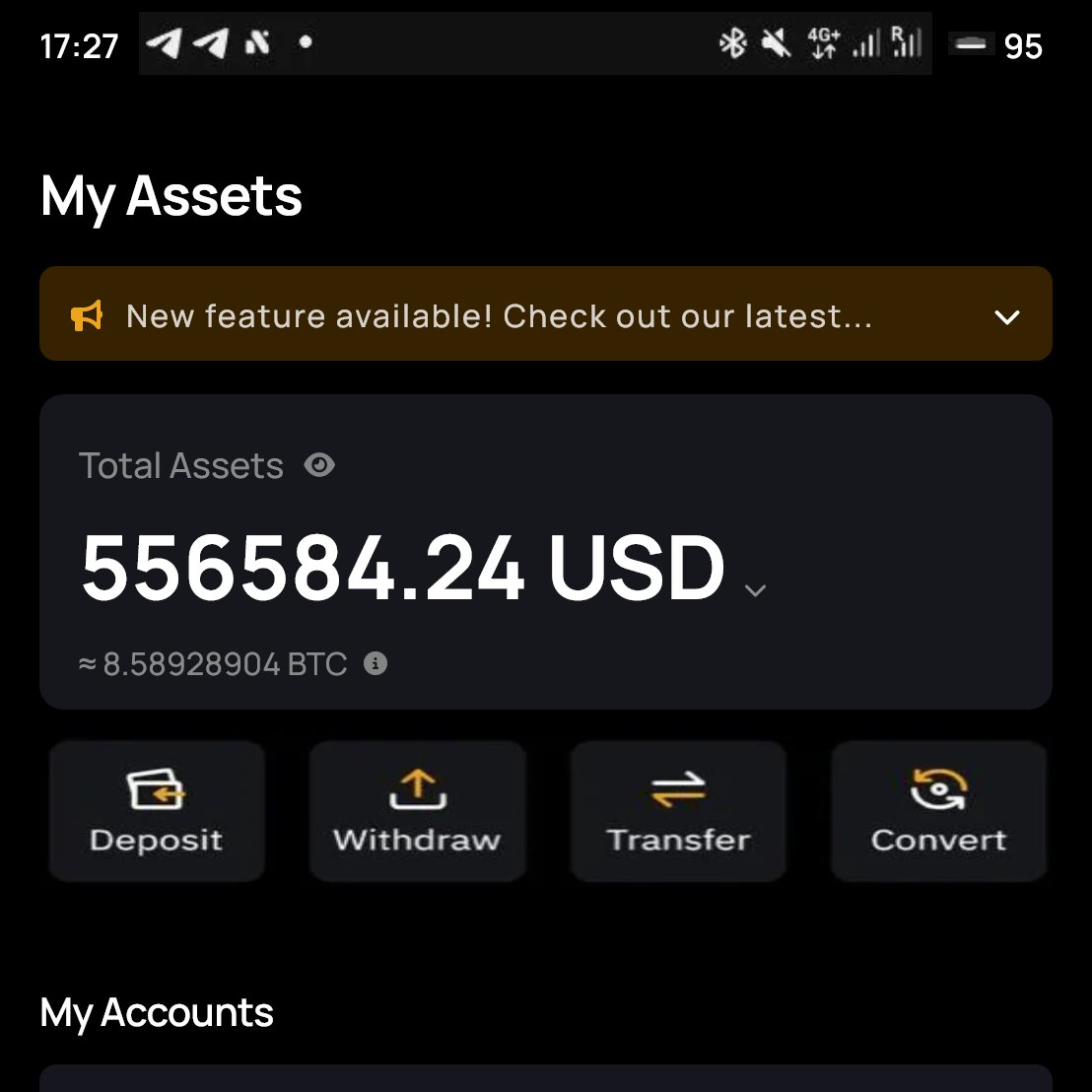 NikkoRix tweet media