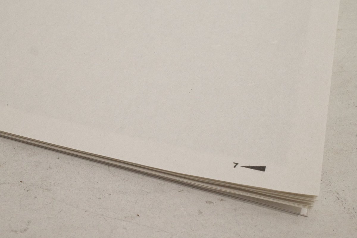 蛇腹Pearlのファーストロールの写真をまとめたzineがオンラインで売れ