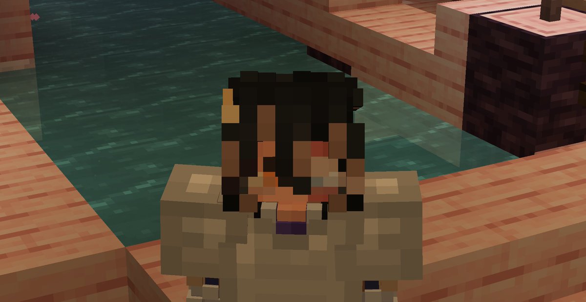 Shuvinity's tweet photo. ๏ธถ โฆ
#forgottensmp photo dump https://t.co/qhPHuQQaxL