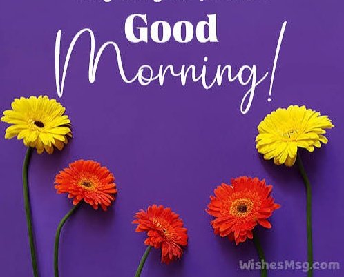 Good morning! I can’t wait to see you.
I don wake up oo..say HI if you are awake too let's vibes together 🌹💯🎉⚡