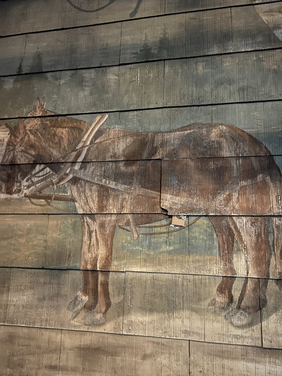 RNmonkey253 tweet media