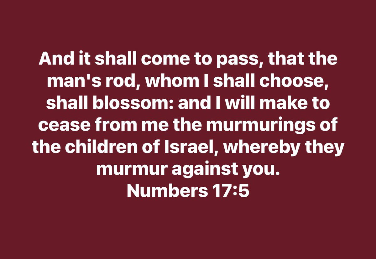 The Wise Teacher tweet media