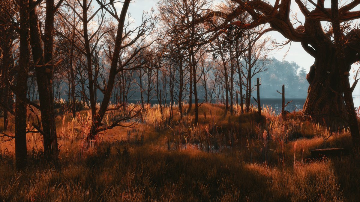 ZeroKing tweet media