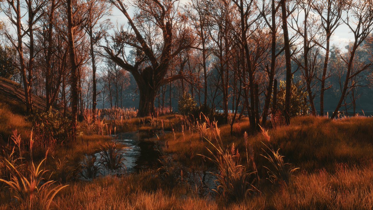 ZeroKing tweet media