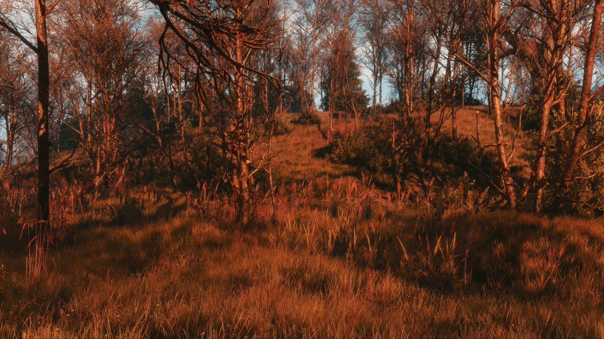 ZeroKing tweet media