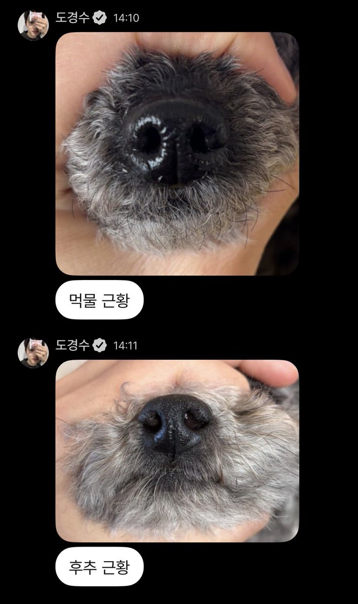 도경수 지금 휀걸들 온라인으로 본가 구경시켜줌