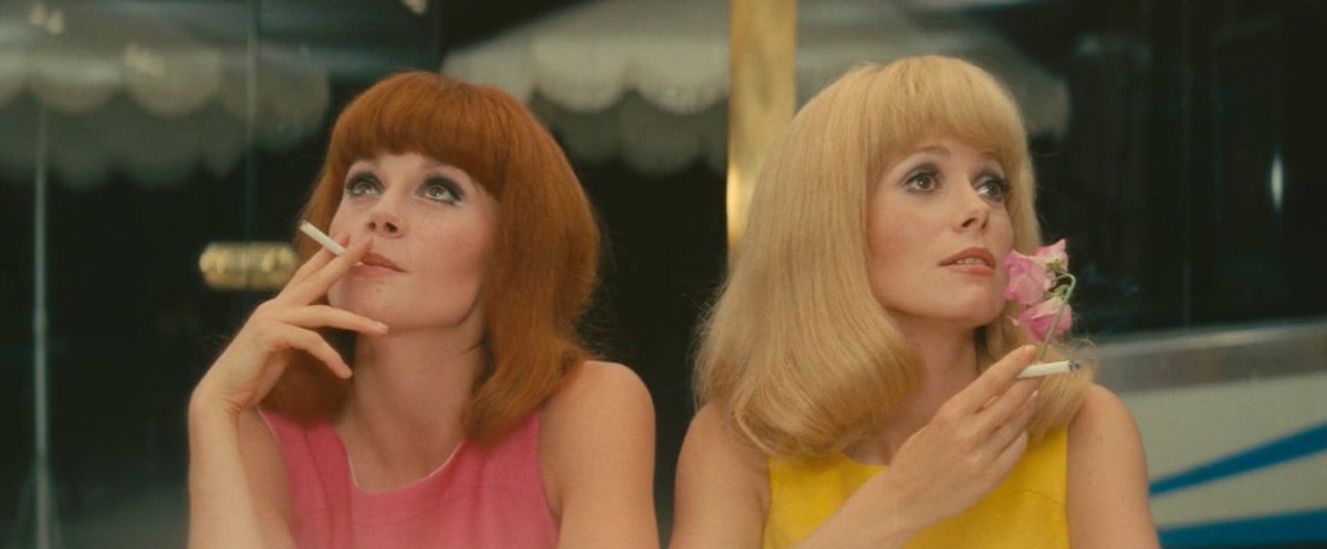 godard me empodera tweet media