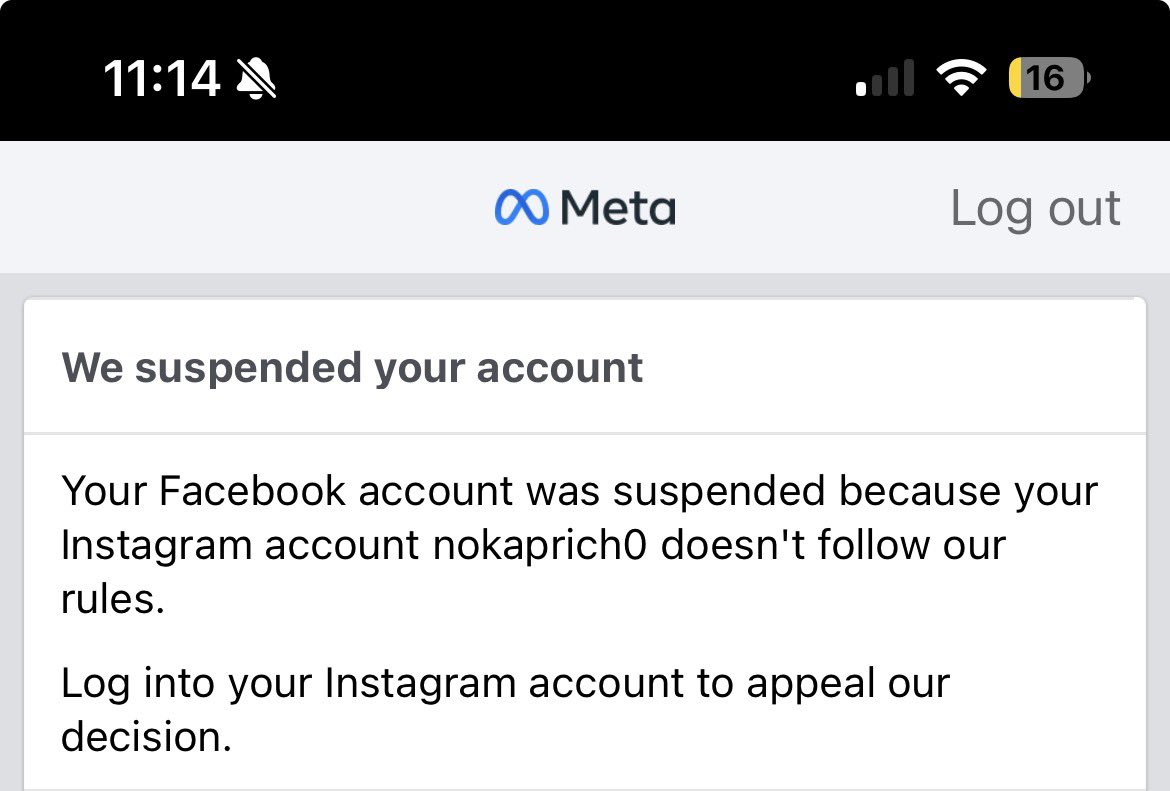 rich (Bad Goy) tweet media