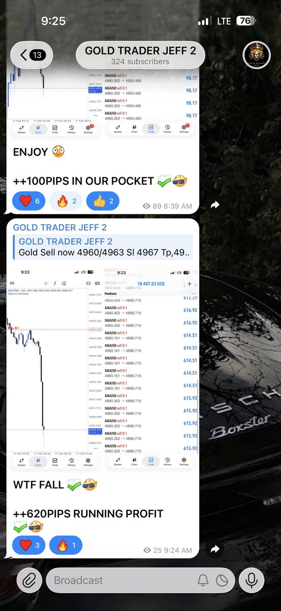 JEFF FX TRADER tweet media