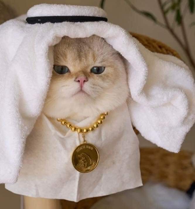 Billionaire from Catar.