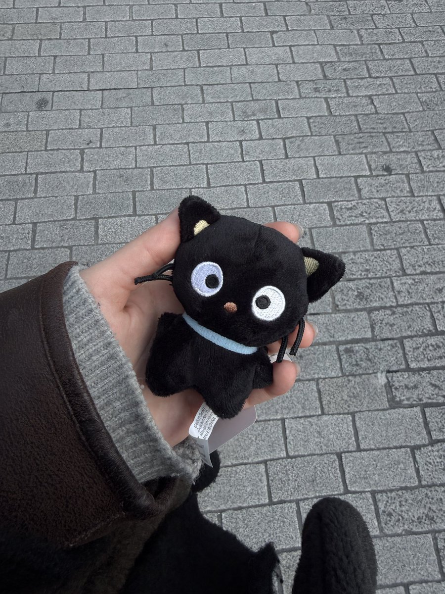 won1bin's tweet image. 우리 초코캣 산리오 스토어마다 조금씩 보인다는 소식 왼쪽 새로운 콜렉션인데 30센치 인형 아직 자만추 못 함 ㅜ