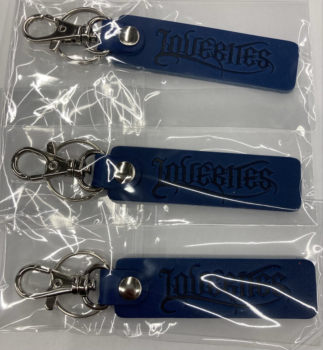 🔥本日入荷🔥 ラヴバイツ『アウトスタンディング・パワー』 2023年発売