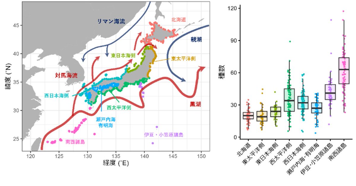 chiba_chuohaku's tweet photo. 【研究成果発表】全国528地点もの海岸で汲んだ海水から、1220種の魚類の環境DNAの検出に成功！さらに先端的なデータ解析によって、日本沿岸の魚類の分布は、海流が大きく影響していることを明らかにしました。将来の生物分布の予測に役立つことが期待されます。
詳しくは
➡https://t.co/o1O0IxvWI5 https://t.co/hGsZnyBZl7