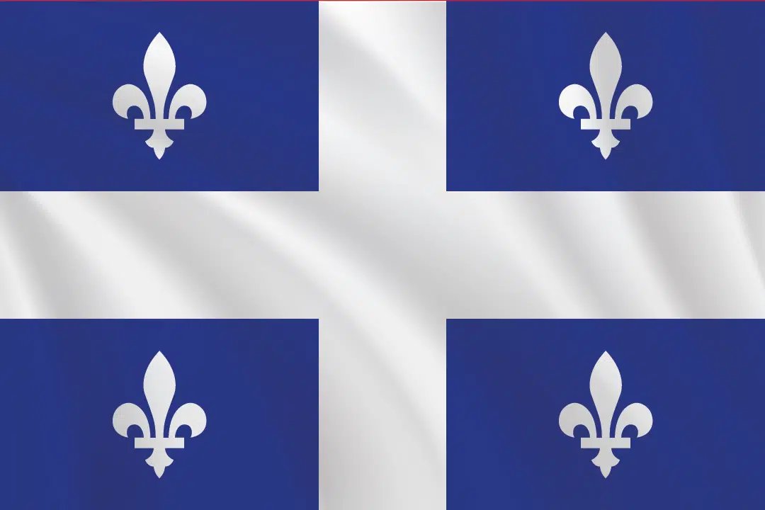 🍀Flunky SilverFang 🦊 tweet media