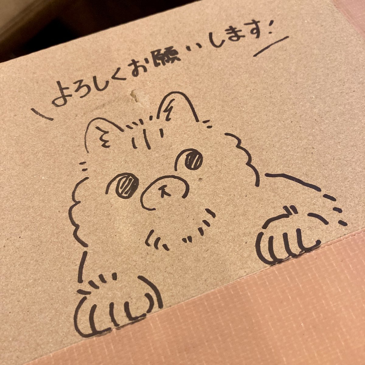 明日からのねこまつり準備中！💪

毎度お馴染みおおもりさんの納品段ボールアートは、うばさん！📦