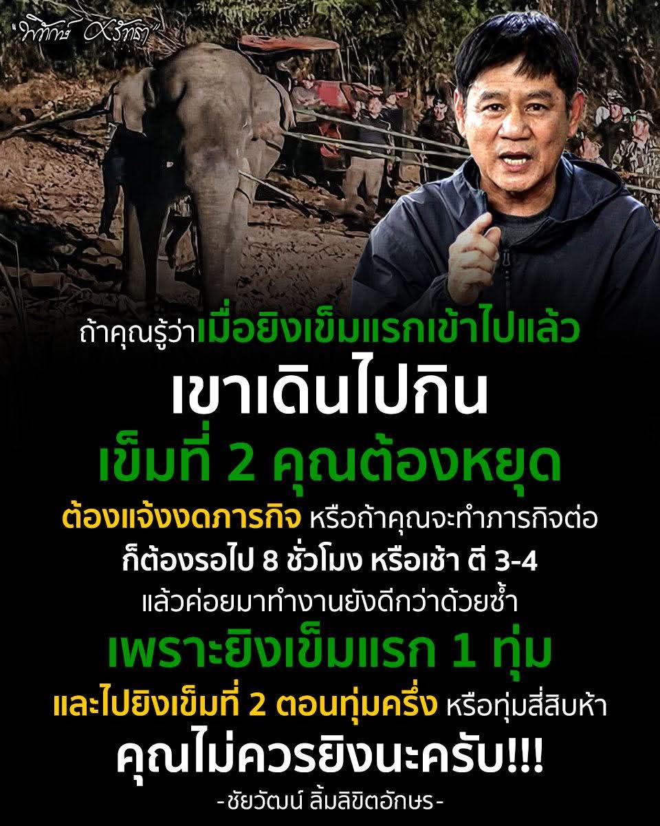 คนไทยทุกคนต้องออกมาปกป้องป่า ไม่ให้กลุ่นคนบางกลุ่มมารุกล้ำป่าเอาไปเป็นของตัวเอง  ป่าคือบ้านของสัตว์ป่า เขาไม่มีสิทธิ์จะอยู่เหรอ #สีดอหูพับ #หูพับต้องไม่ตายฟรี