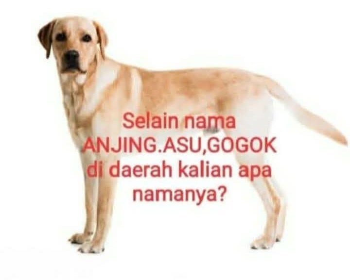 Ketawa itu GRATIS 🛩 tweet media