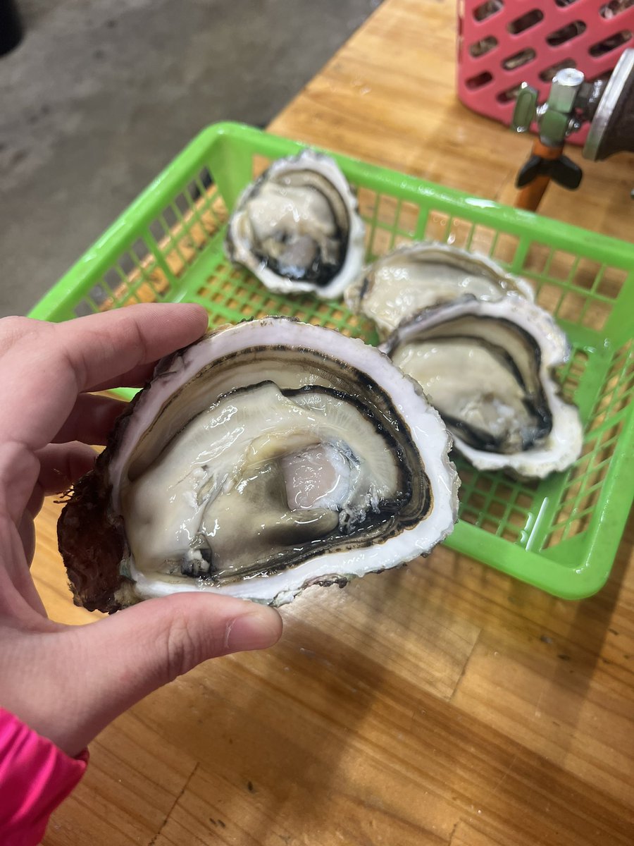 ともたに tweet media