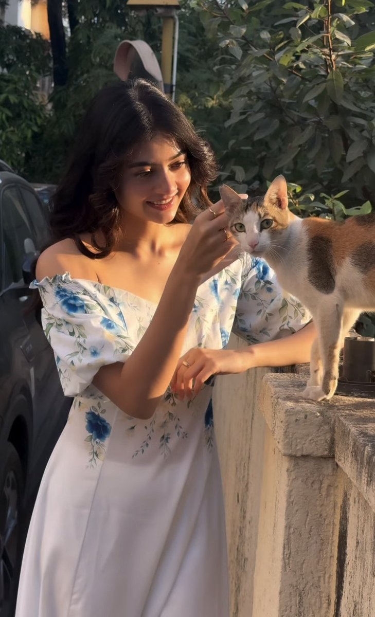 Cat be like : Tum dono meri pic achi lena...that's it ✋️🐱
#SaiShi 🧿
