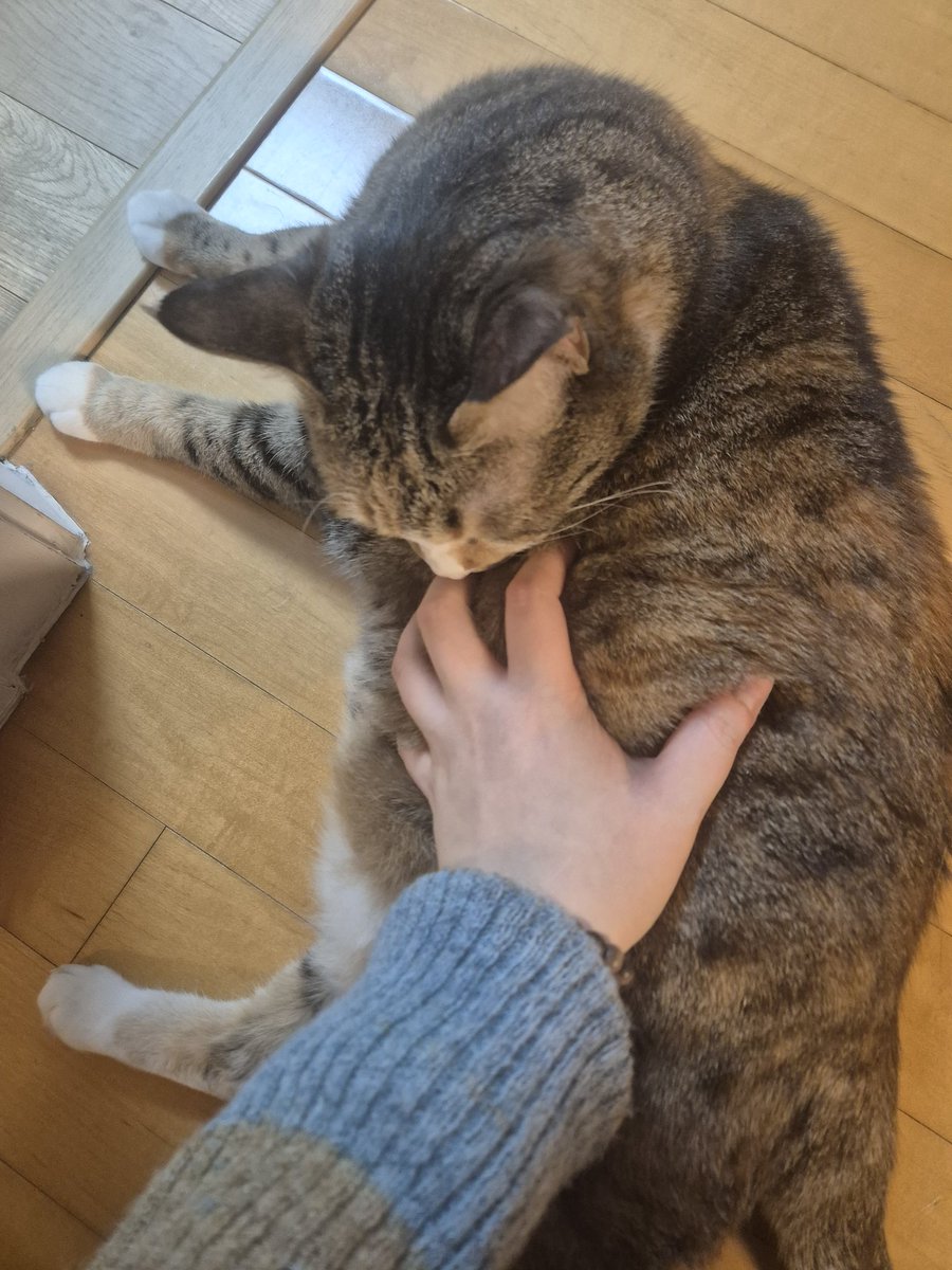 됒. 즈물